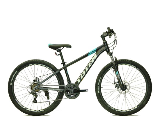 Totem Y650 26&Prime;